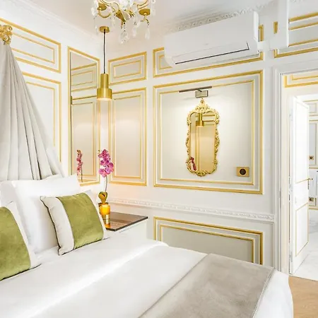 Luxury 6 Bedroom 5 Bathroom Palace - Louvre View *
